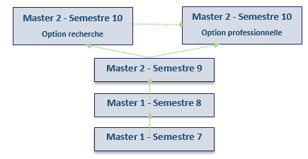 Différenciation en T